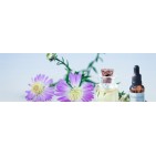 Aceites Esenciales Quimiotipados- Ecológicos