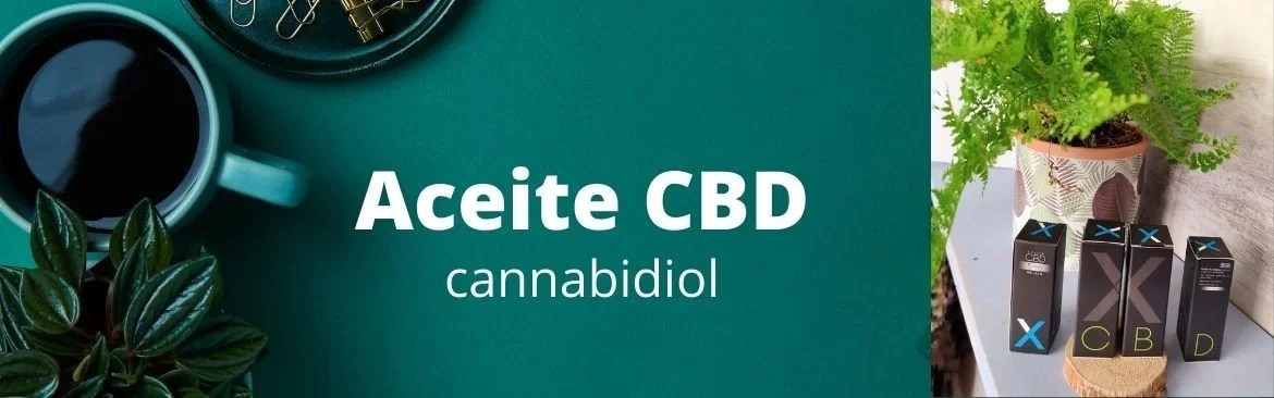 Aromaterapia en el hogar