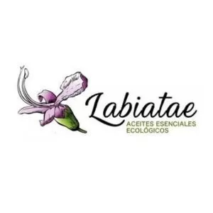 Labiatae